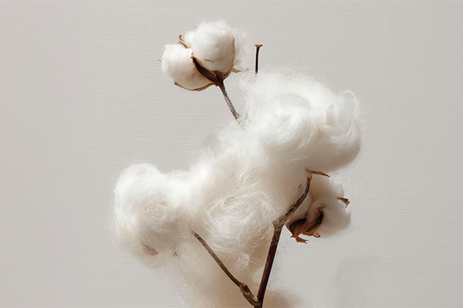 What Makes a Mattress Truly Natural?