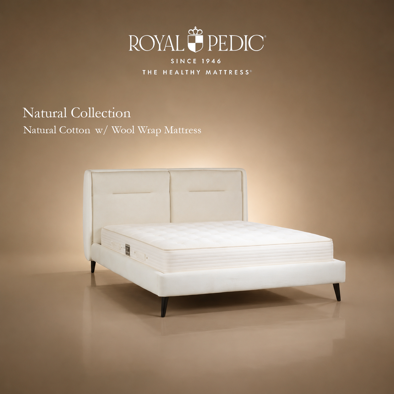 Royal Pedic Natural Cotton with Wool Wrap Mattress on a white upholstered bed frame against a tan background