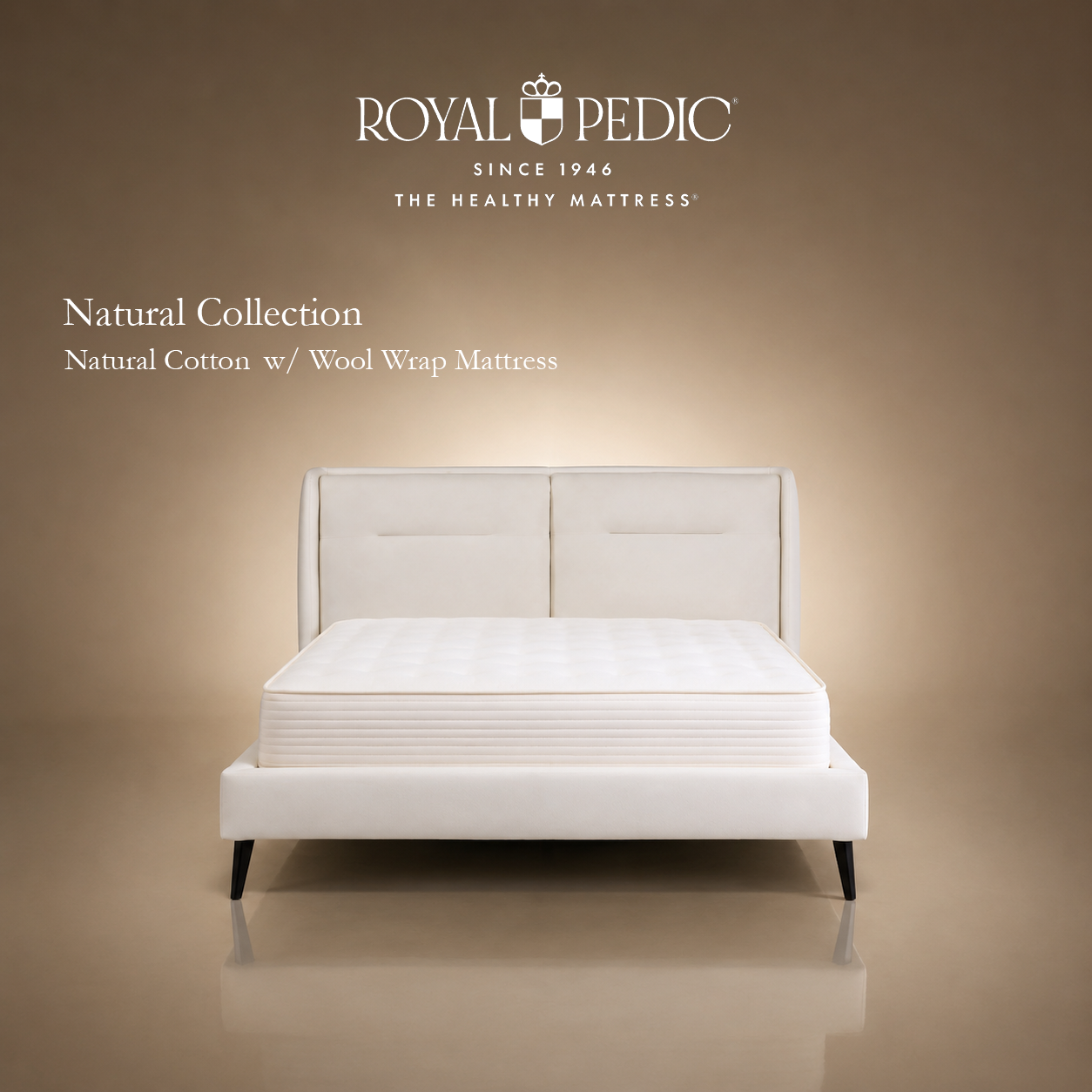 Royal Pedic Natural Cotton with Wool Wrap Mattress on a white upholstered bed frame against a tan background