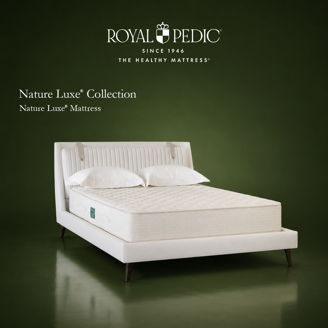 Royal Pedic Nature Luxe mattress on a white upholstered bed frame against a dark green background
