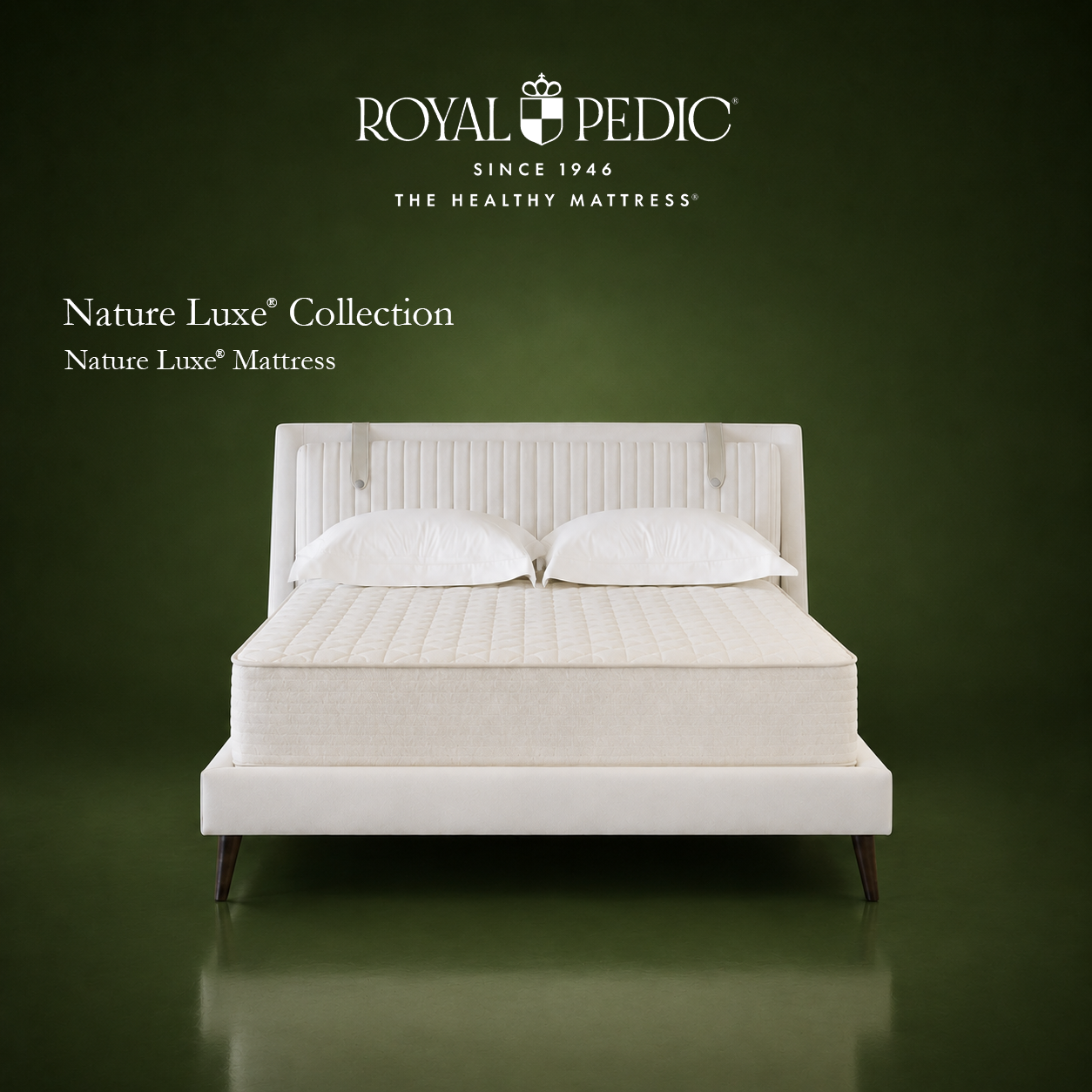 Royal Pedic Nature Luxe mattress on a white upholstered bed frame against a dark green background