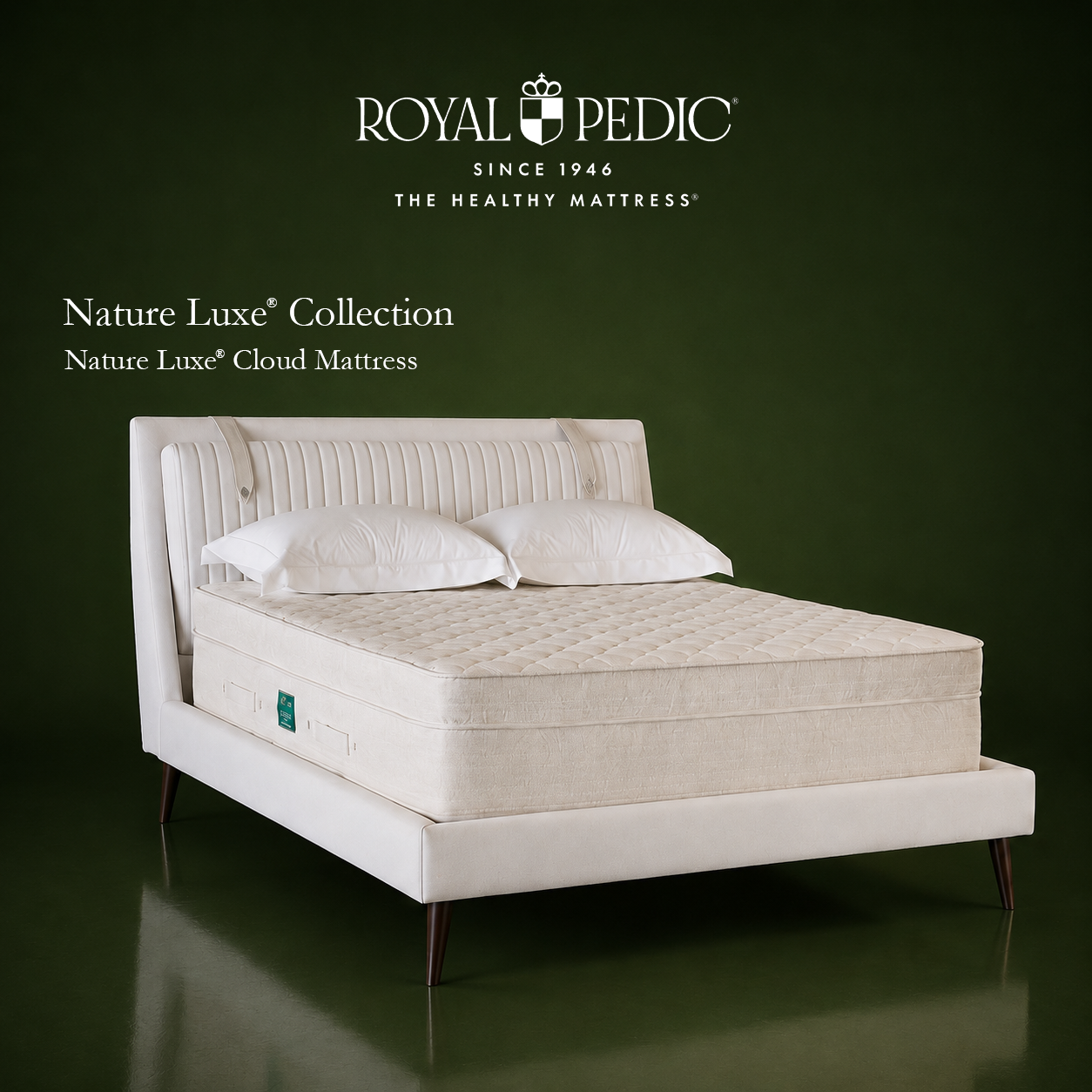 Royal Pedic Nature Luxe Cloud Mattress on a white upholstered bed frame against a dark green background with brand logo