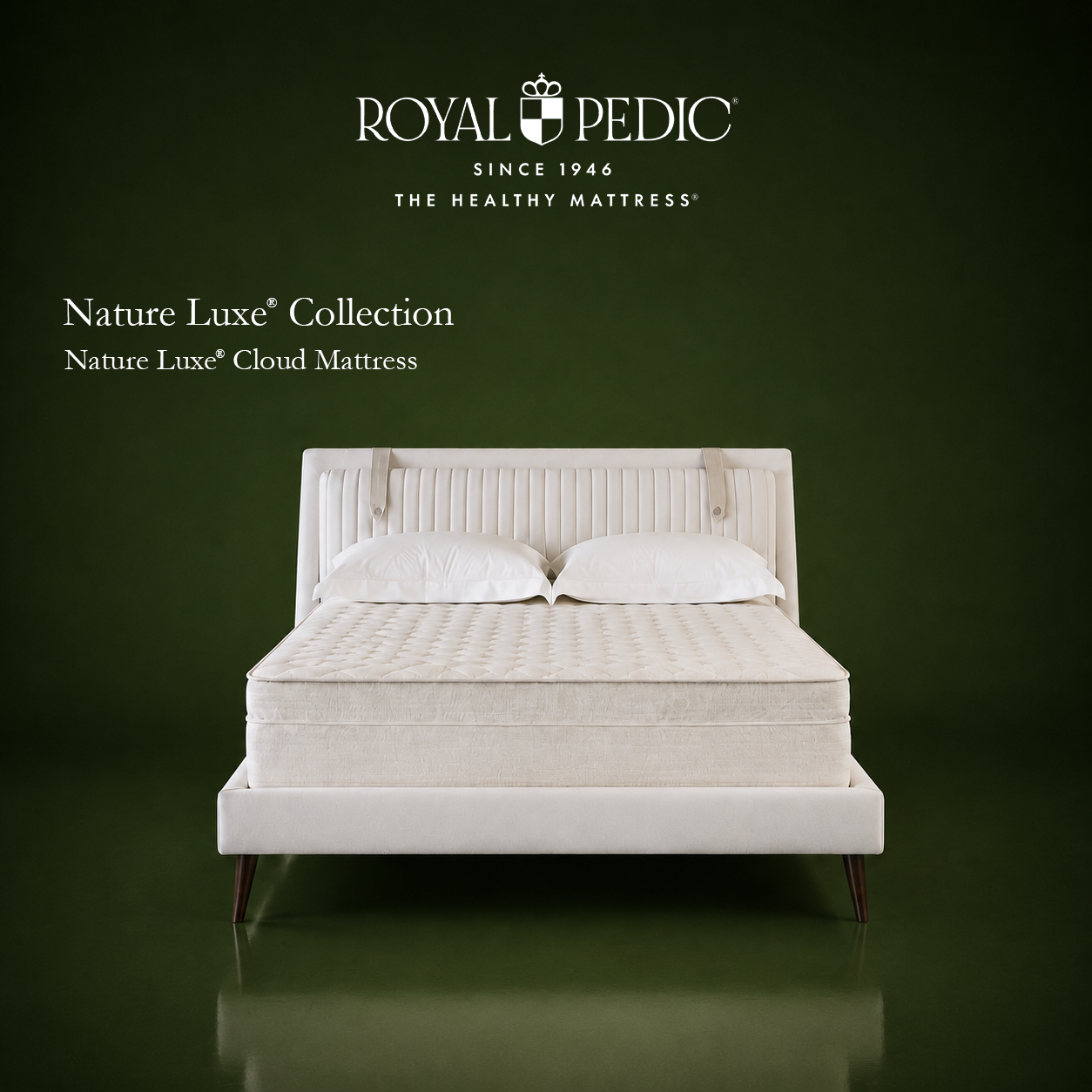 Royal Pedic Nature Luxe Cloud Mattress on a white upholstered bed frame against a dark green background