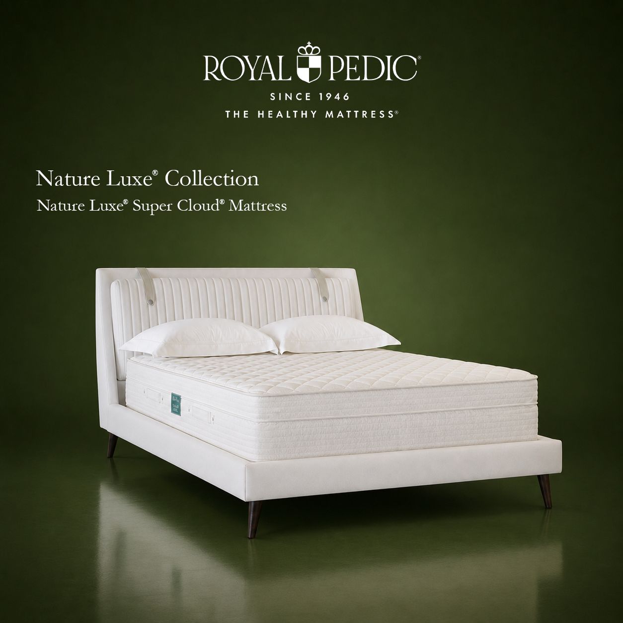 Royal Pedic Nature Luxe Super Cloud mattress on a white upholstered bed frame against a dark green background