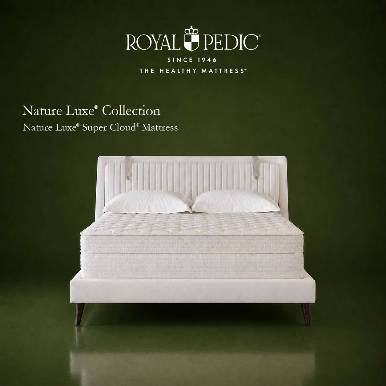 Royal Pedic Nature Luxe Super Cloud mattress on a white upholstered bed frame against a dark green background