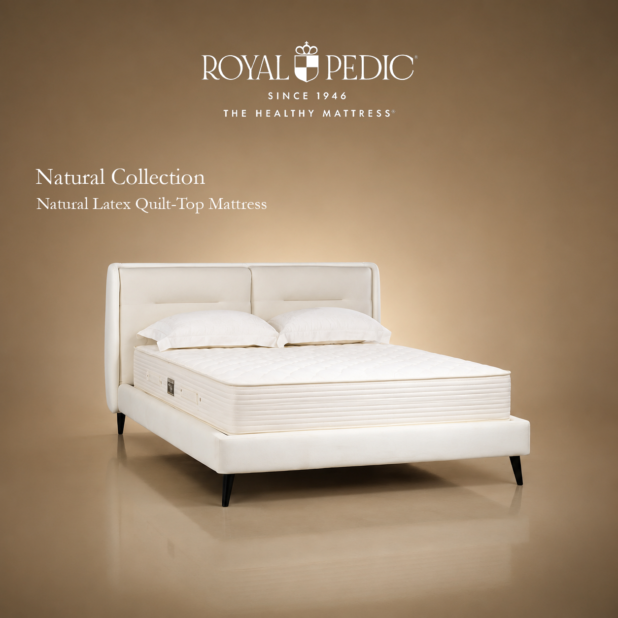 Royal Pedic Natural Latex Quilt Top Mattress on a white upholstered bed frame against a tan background
