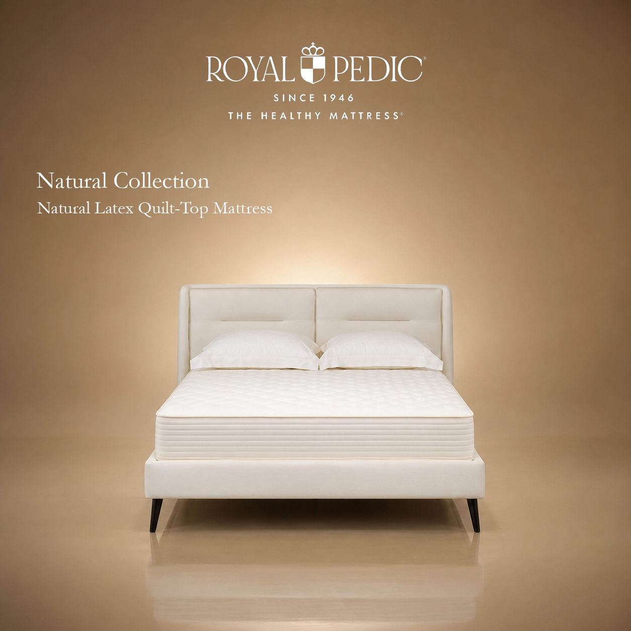 Royal Pedic Natural Latex Quilt Top Mattress on a white upholstered bed frame against a tan background