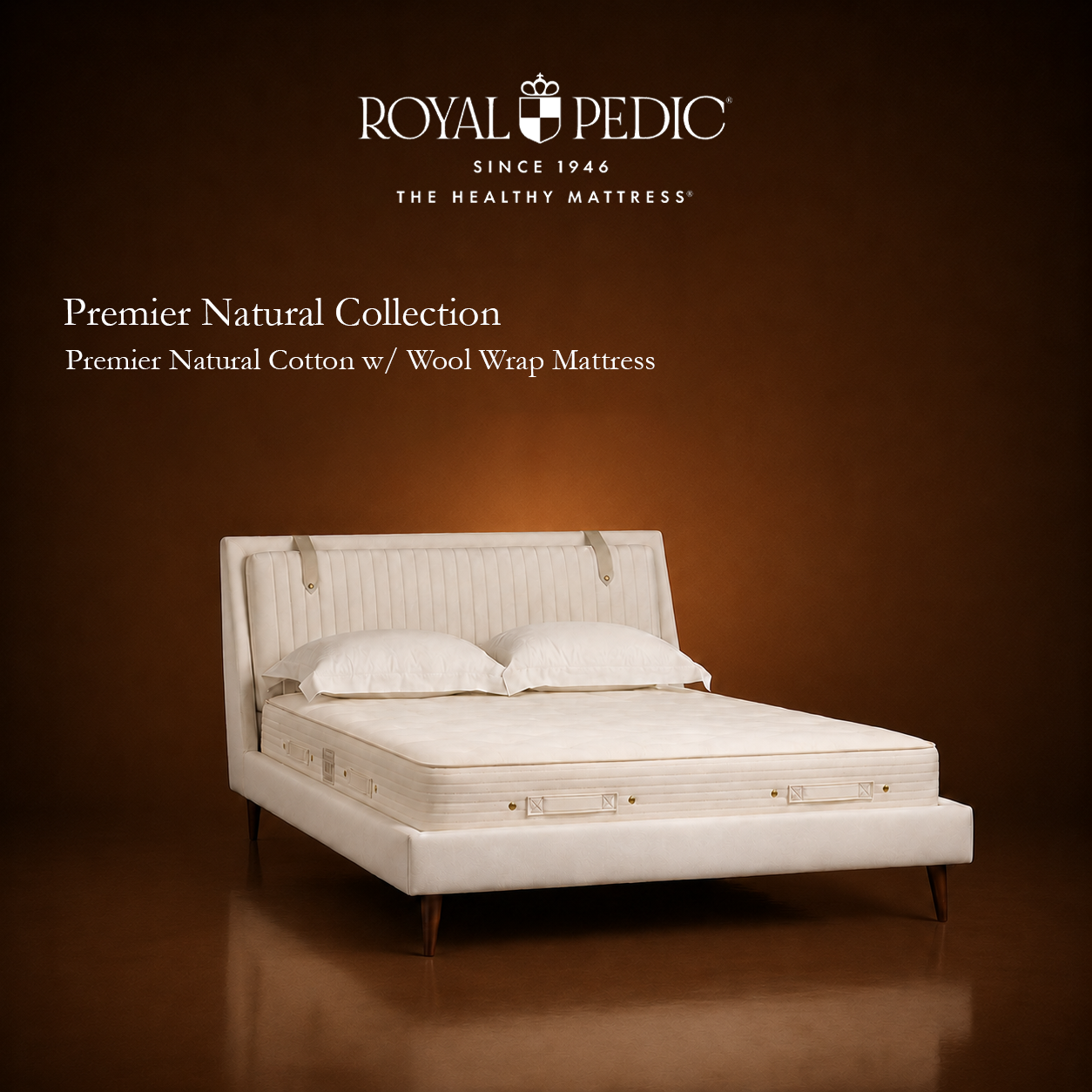 Royal Pedic Premier Natural Cotton with Wool Wrap Mattress on a cream upholstered bed frame against a dark brown background