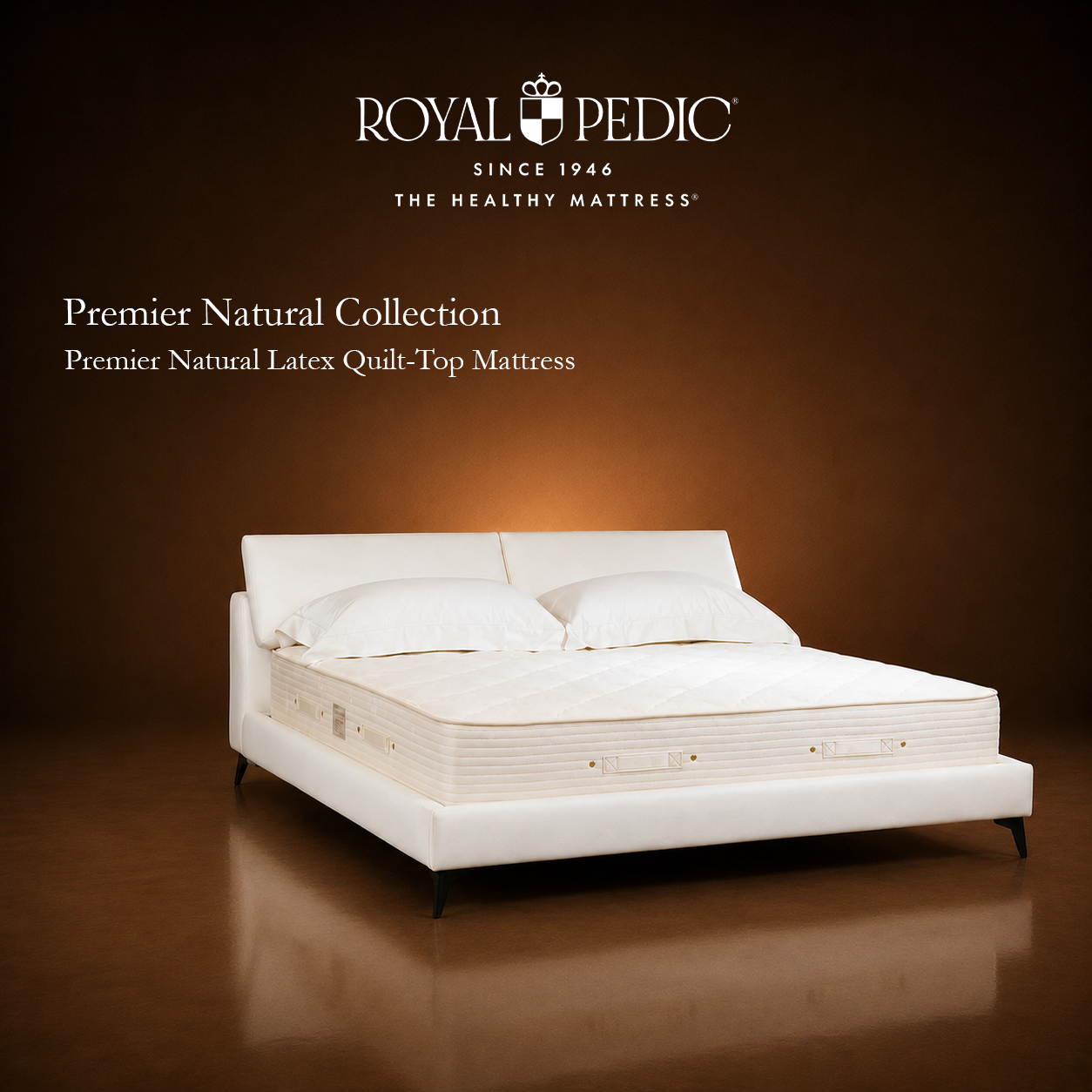 Royal Pedic Premier Natural Latex Quilt-Top Mattress on a white bed frame against a brown background