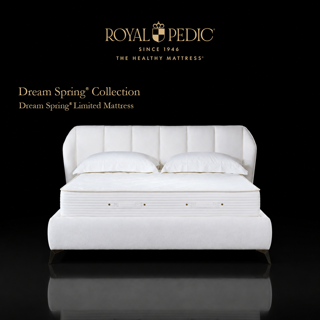 Royal Pedic Dream Spring Limited Mattress on a white upholstered bed frame with white pillows against a black background