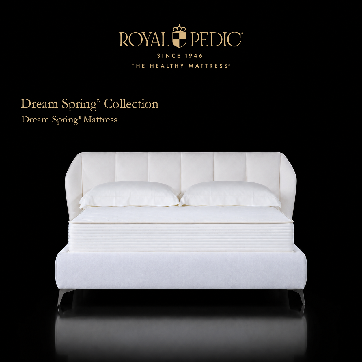 Royal Pedic Dream Spring Mattress on a white upholstered bed frame with two white pillows against a black background