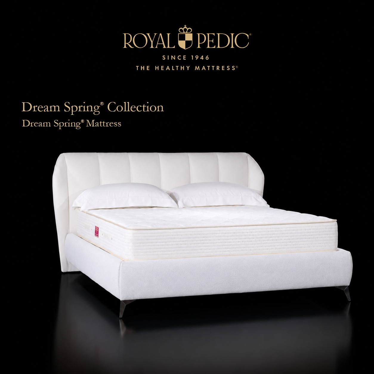 Royal Pedic Dream Spring Mattress on a white upholstered bed frame with two white pillows against a black background