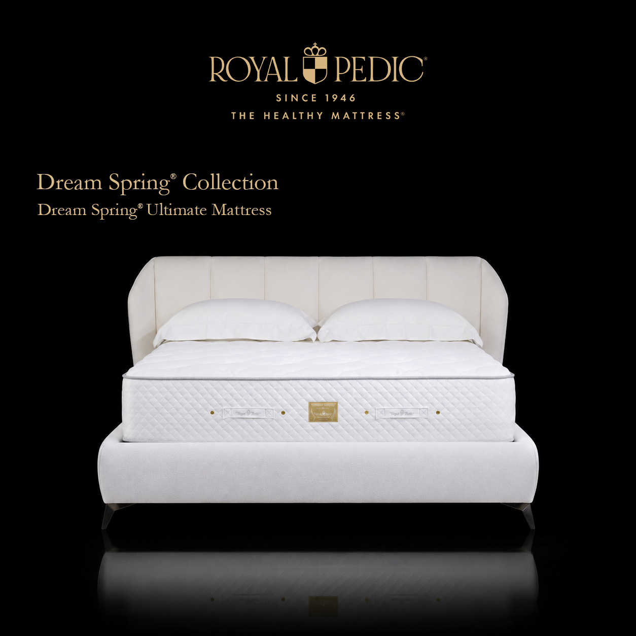 Royal Pedic Dream Spring Ultimate Mattress on a white upholstered bed frame with two white pillows against a black background