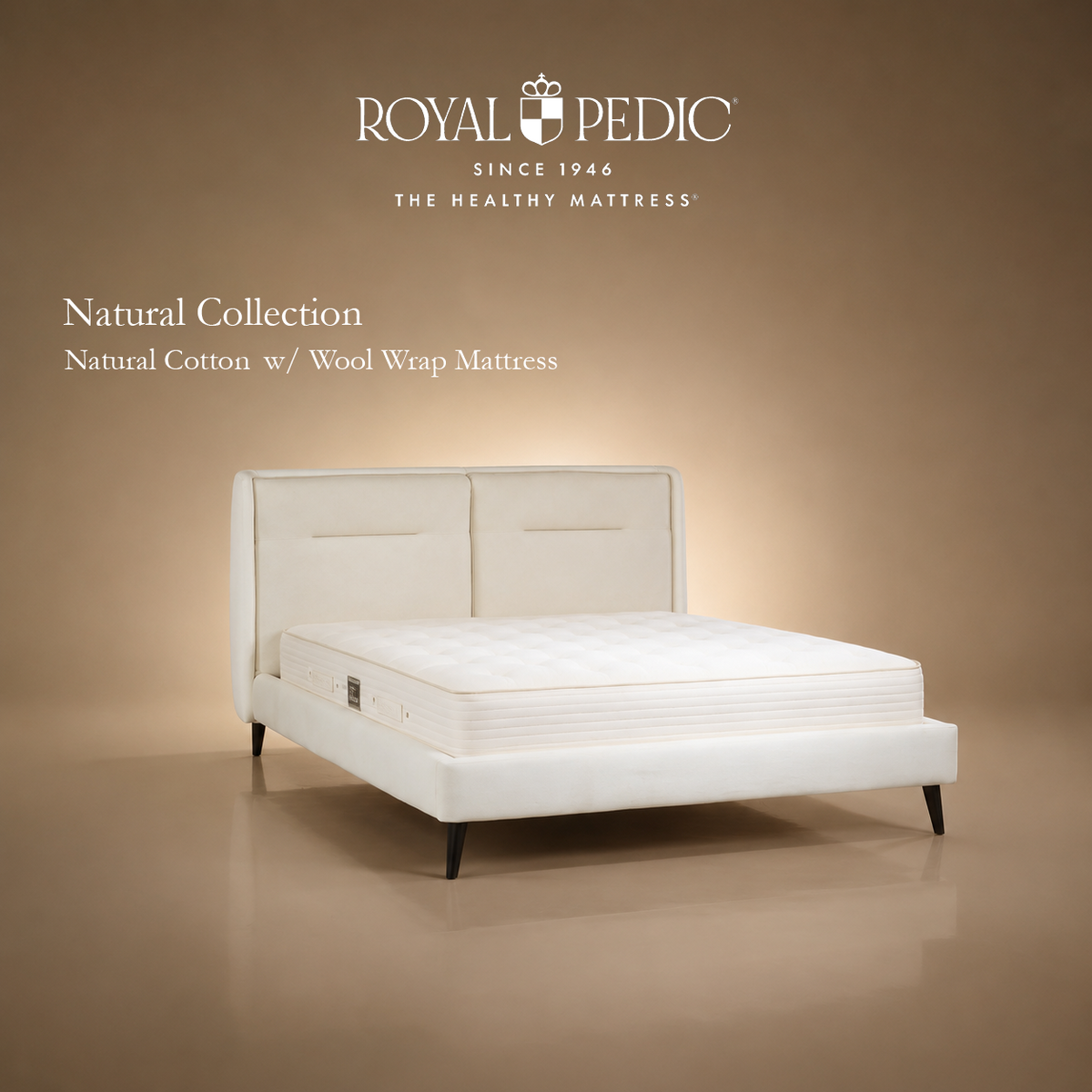 Royal Pedic Natural Cotton with Wool Wrap Mattress on a white upholstered bed frame against a tan background