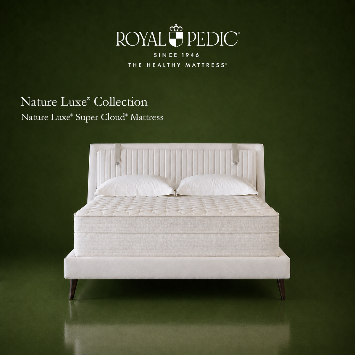Royal-Pedic Nature Luxe Super Cloud mattress on a white upholstered bed frame against a dark green background