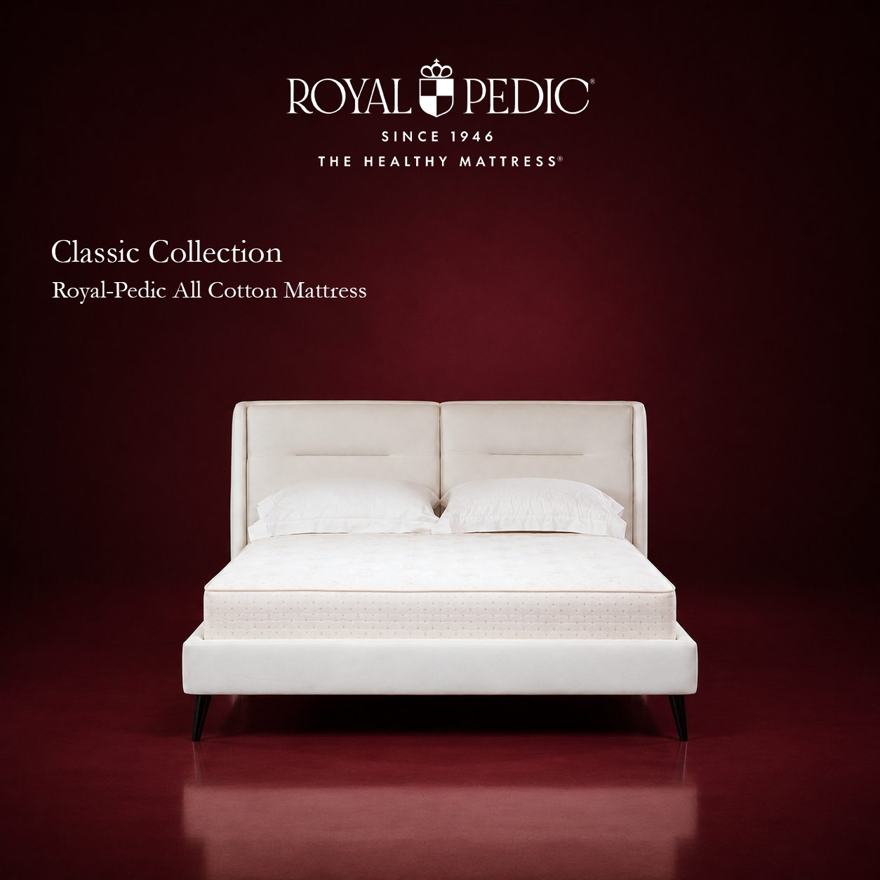 Royal-Pedic All Cotton Mattress on a white upholstered bed frame against a dark red background